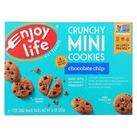 ENJOY LIFE Sweet Snacks