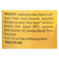 Alaffia - African Black Soap - Lavender Ylang Ylang - 16 fl oz.