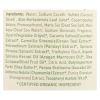 Ecolove Body Wash Green Vegetables Family Shower Gel For Ages 6 Months And Up - Case of 500 - 17.6 fl oz.