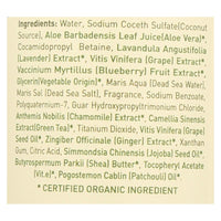 Ecolove Shampoo - Purple Fruit Shampoo For Colored and Very Dry Hair  - Case of 1 - 17.6 fl oz.